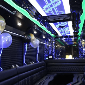 birthday-party-bus-rentals birthday-party-bus-rentals